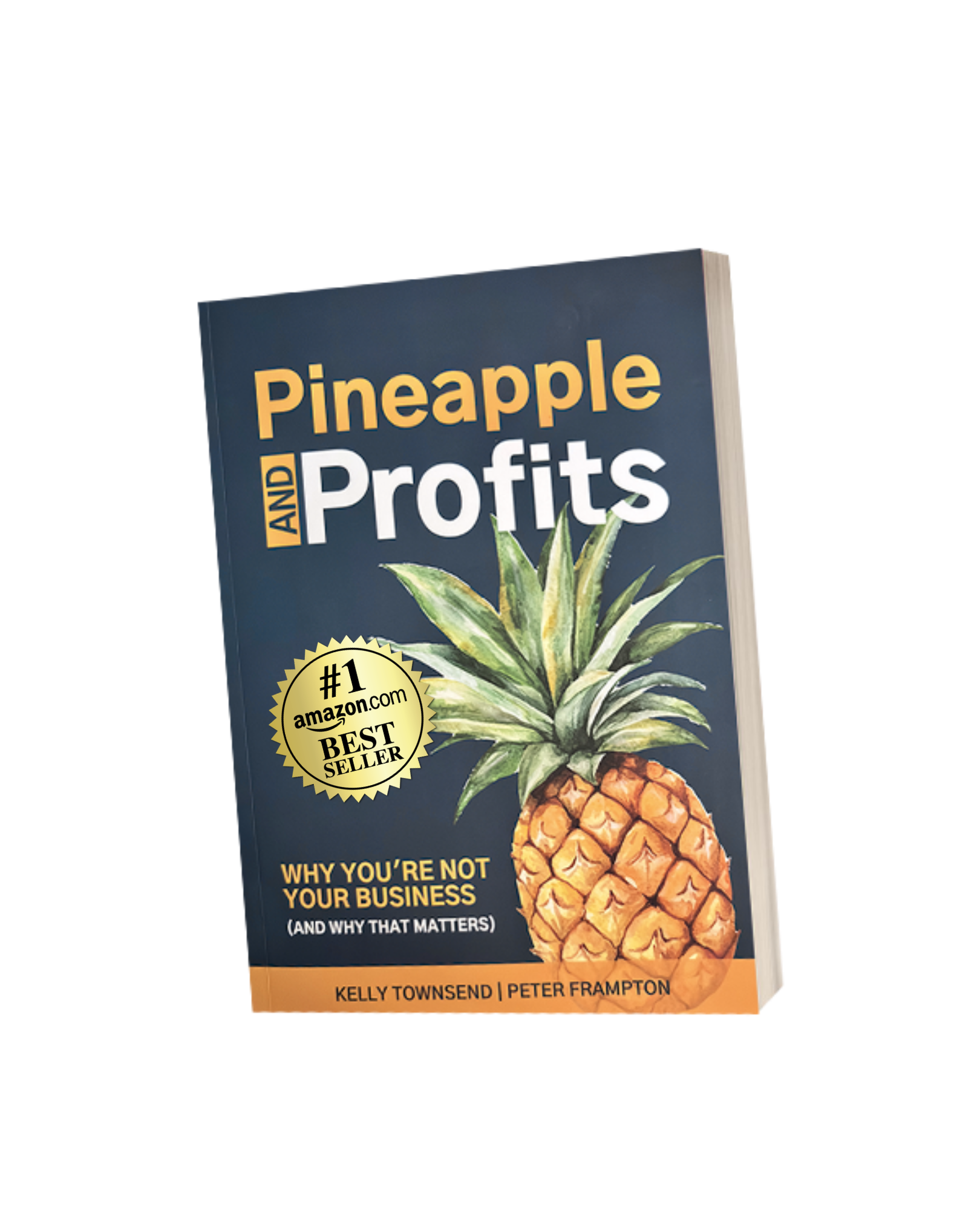 Pineapple And Profits Book, Amazon best seller.